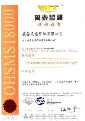 OHSAS-18001中文版